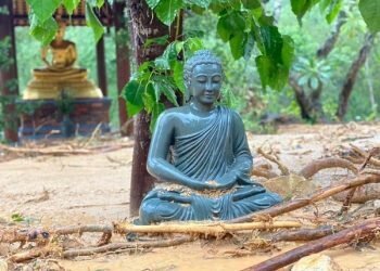 CÙNG CHUNG TAY HƯỚNG VỀ MIỀN TRUNG HIỆU QUẢ GIÚP BÀ CON SAU THIÊN TAI