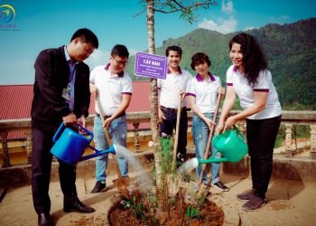 RỢP BÓNG ƯỚC MƠ