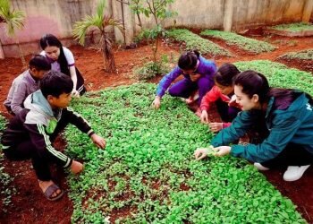 “Thành công của chúng ta không phải là những gì mà ta đang sở hữu mà là những gì ta sẽ để lại.” – Khuyết danh