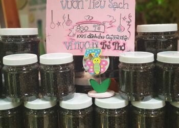HẠT TIÊU NHỎ TÌNH CẢM TO  VÌ NỤ CƯỜI TRẺ THƠ