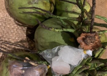 VICARIS TẶNG QUÀ CHO F0 ĐIỀU TRỊ TẠI NHÀ – THUỐC XÔNG VÀ NƯỚC UỐNG TĂNG CƯỜNG SỨC ĐỀ KHÁNG