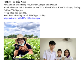 Báo cáo năm học năm 2021-2022 của BT18 – Lê Tiểu Ngọc