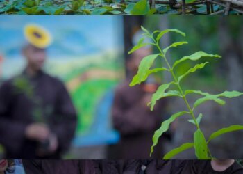 Cảm nhận về một tuần tu học đáng nhớ tại Tu viện Khánh An – Hồng Hạnh