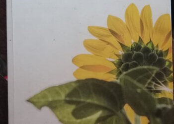 Cuộc thi review sách “CÁNH BUỒM GIẤY” – Mở Lối Yêu Thương – Thích Nữ Nhuận Bình.